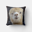 Search for alpaca cushions Peru