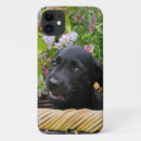 Search for black lab puppy iphone cases Cute