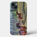 Search for equine cases Horse lovers
