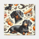 Search for dachshunds magnets Pets
