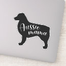 Search for black silhouette Stylish