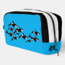 Search for orca whale Ocean