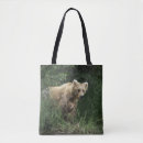 Search for brooks bags Brown bear
