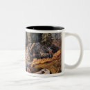 Search for gold panning mugs Digging