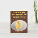 Search for cocks cards Chicken