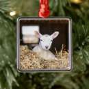Search for lamb christmas tree decorations Livestock