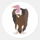 Search for vulture stickers Bird
