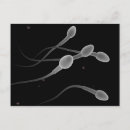 Search for sperm postcards Cell