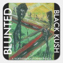 Search for bluntness Black