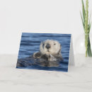 Search for sea otter cards Adorable