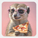 Search for meerkat stickers Animal