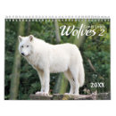 Search for wolf photography Grey