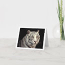 Search for white tiger cards Bengal