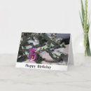 Search for cactus cards Photography