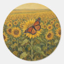 Search for butterfly sunflower stickers Butterflies