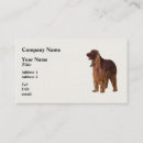 Search for setter business cards Animal