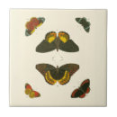 Search for butterfly tiles White