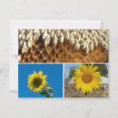 Search for sunflower postcards Sky