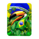 Search for toucans magnets Animal