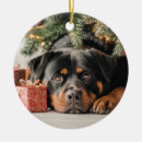 Search for rottweiler christmas tree decorations Rottie
