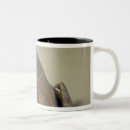 Search for pottery mugs Chinese