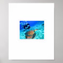 Search for underwater adventure posters Marine life