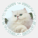 Search for maggie stickers Pets