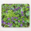 Search for violet spring flower mouse mats Purple