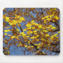 Search for fall foliage mouse mats Photography