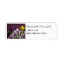 Search for purple pansy return address labels Nature