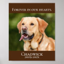 Search for pet memorial posters Cat