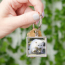 Search for young animal key rings Bear cub