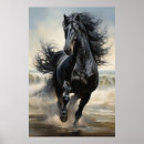 Search for black beauty horse posters Nature