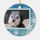 Search for cheer christmas tree decorations Pet