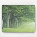 Search for spring tree mouse mats Landscape