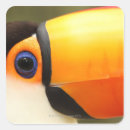 Search for largest stickers Travel