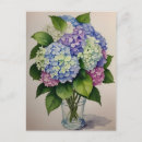 Search for blue hydrangea postcards Flower