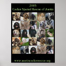Search for spaniel posters Dog