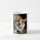 Search for pembroke corgi mugs Pets