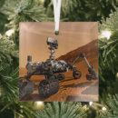 Search for concept christmas tree decorations Experiment