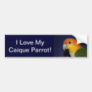 Search for belly bumper stickers Caique