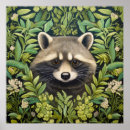 Search for racoon art posters Vintage