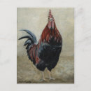 Search for coop postcards Poultry