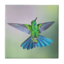 Search for hummingbird tiles Garden