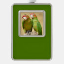 Search for conure christmas tree decorations Parakeet