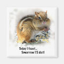 Search for ground squirrel magnets Rodents