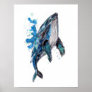 Search for blue whale posters Wildlife