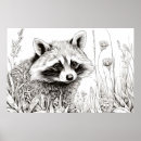 Search for racoon art posters Wildlife