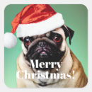 Search for pug dogs stickers Animals