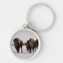 Search for large image key rings Horizontal